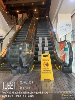 Thang cuốn nhập khẩu